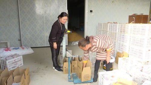農(nóng)產(chǎn)品可溯源 超10萬農(nóng)業(yè)生產(chǎn)主體有了專屬 身份證