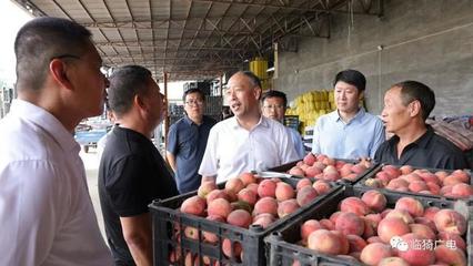 靳國全在牛杜鎮(zhèn)調(diào)研農(nóng)機(jī)裝備發(fā)展及果品購銷工作