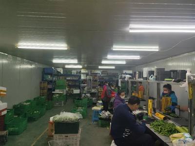 【疫情與三農】多地農業農村廳發文:抓好蔬菜生產,保證疫情期間農產品供給!