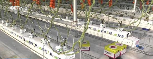 新裝備、新科技加速農產品提質 助力現代農業增效