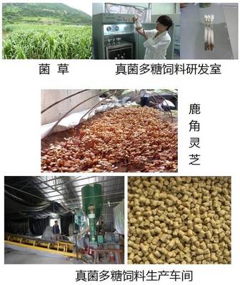 立體種養(yǎng)循環(huán)農(nóng)業(yè)模式為生態(tài)試驗(yàn)區(qū)建設(shè)添磚加瓦