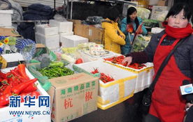 海南蔬菜進(jìn)京的價(jià)格清單 運(yùn)銷戶一斤只賺0.14元