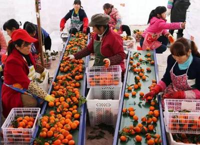 再擂戰(zhàn)鼓!云陽下步脫貧攻堅(jiān)戰(zhàn)這樣打