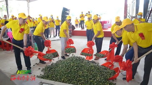 墾地緊密配合 墾區(qū)內(nèi)部協(xié)同 僅用83天 海墾熱作紅昇農(nóng)產(chǎn)品分揀加工廠投產(chǎn)運(yùn)營