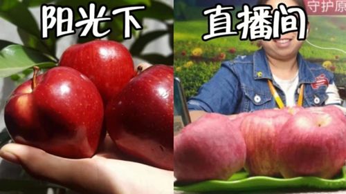 農(nóng)產(chǎn)品直播需要重點(diǎn)關(guān)注的幾個(gè)問題