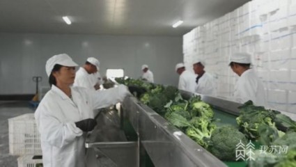 鏈接田頭和餐桌 江蘇部署加快推進(jìn)農(nóng)產(chǎn)品初加工機(jī)械化高質(zhì)量發(fā)展