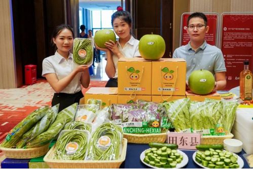 深桂攜手共建供深農產品供應鏈,以產業(yè)興旺助力鄉(xiāng)村振興