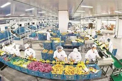 產業集群:我國農產品加工業迎來重大機遇