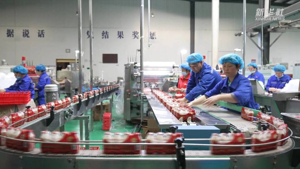 新質(zhì)生產(chǎn)力·在一線|河南漯河:食品實(shí)驗(yàn)室推動(dòng)傳統(tǒng)企業(yè)搶占新賽道