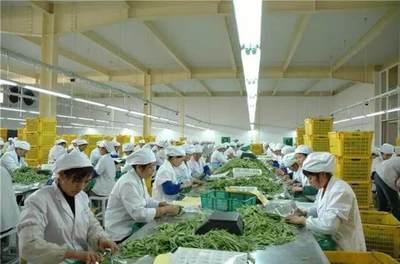農(nóng)產(chǎn)品加工:3大政策扶持,6大項(xiàng)目隱藏千萬商機(jī)!