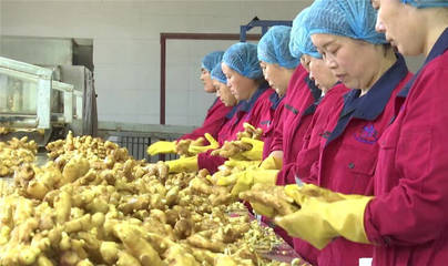 濰坊安丘:強(qiáng)化農(nóng)產(chǎn)品監(jiān)管 打造食品農(nóng)產(chǎn)品質(zhì)量安全示范區(qū)