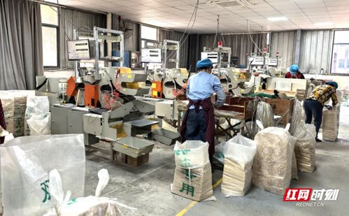 眾企拾柴火焰高 湘潭市工商聯(lián) 萬(wàn)企興萬(wàn)村 行動(dòng)全是 干貨